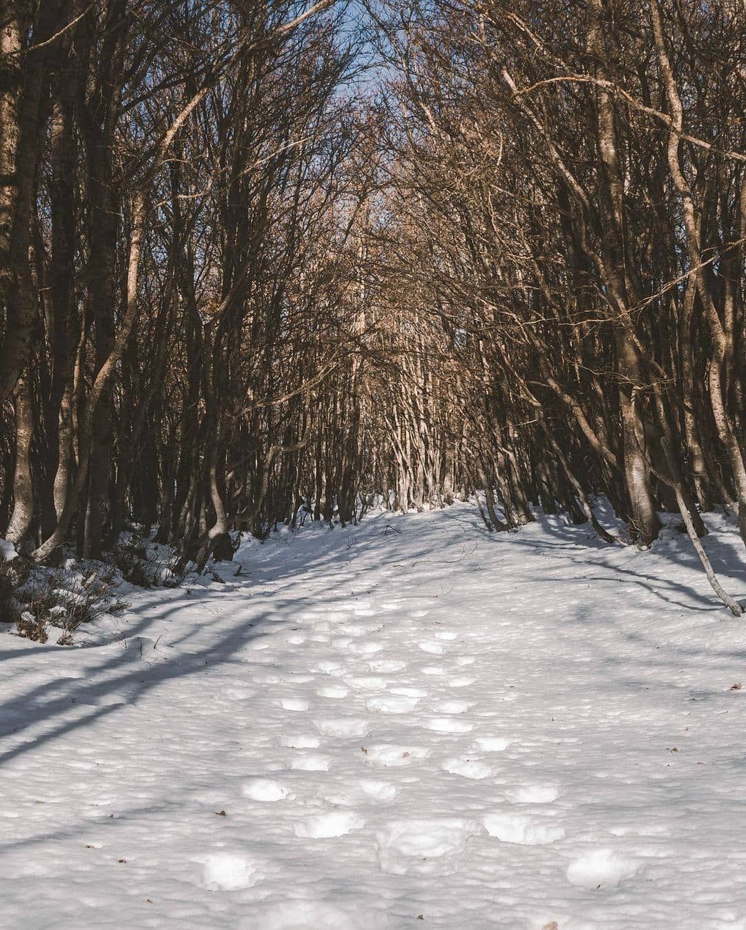 Ondata di gelo in Calabria con nevicate a bassa quota