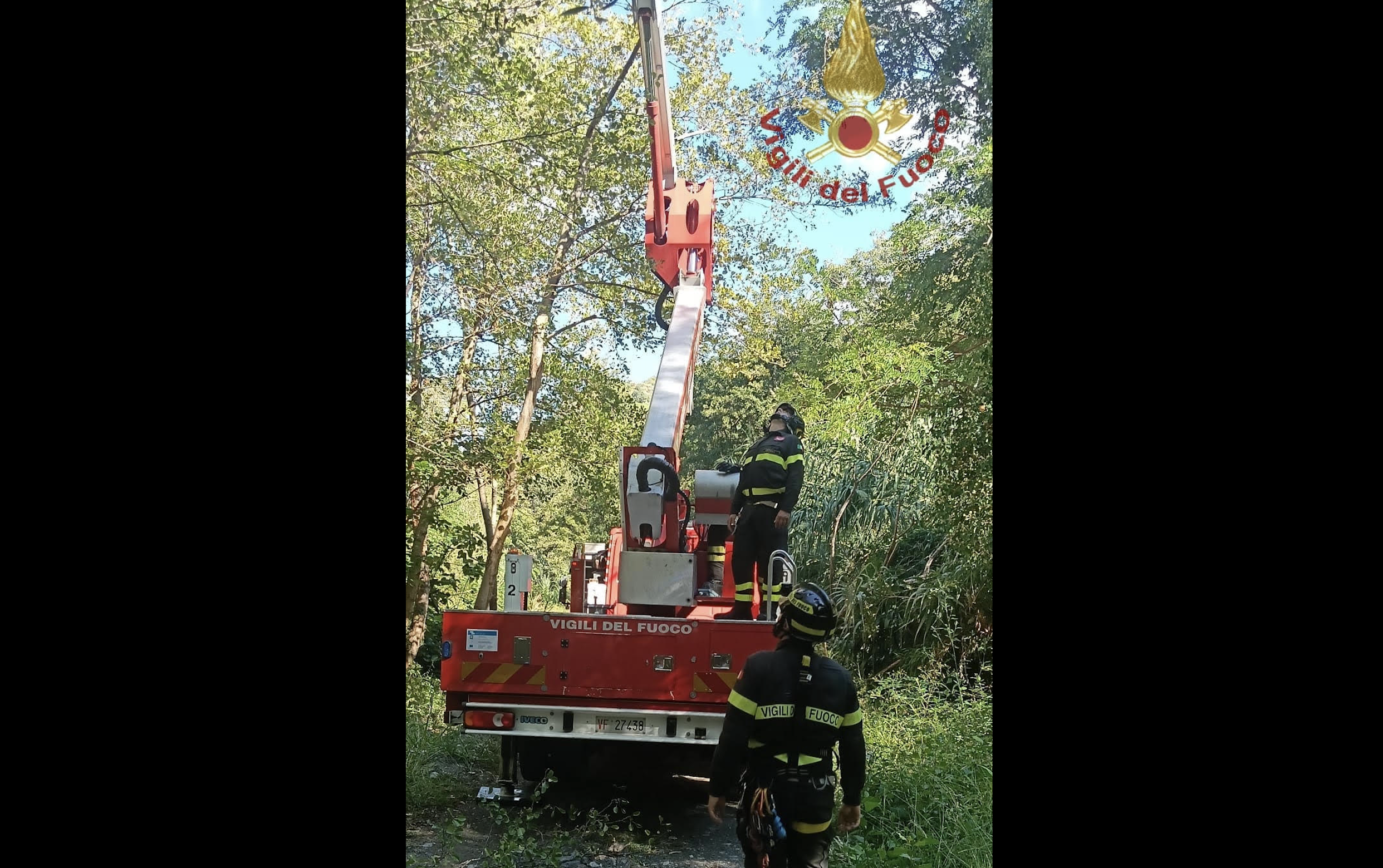 Fiumefreddo Bruzio, recuperato un parapendista rimasto incastrato sulla cima di un albero