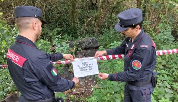 Tagli abusivi e rifiuti illeciti: il Catanzarese nel mirino dei Carabinieri