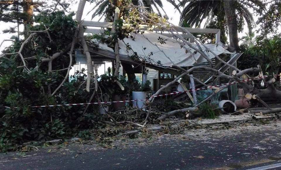 Reggio, gazebo distrutto dal crollo di un albero