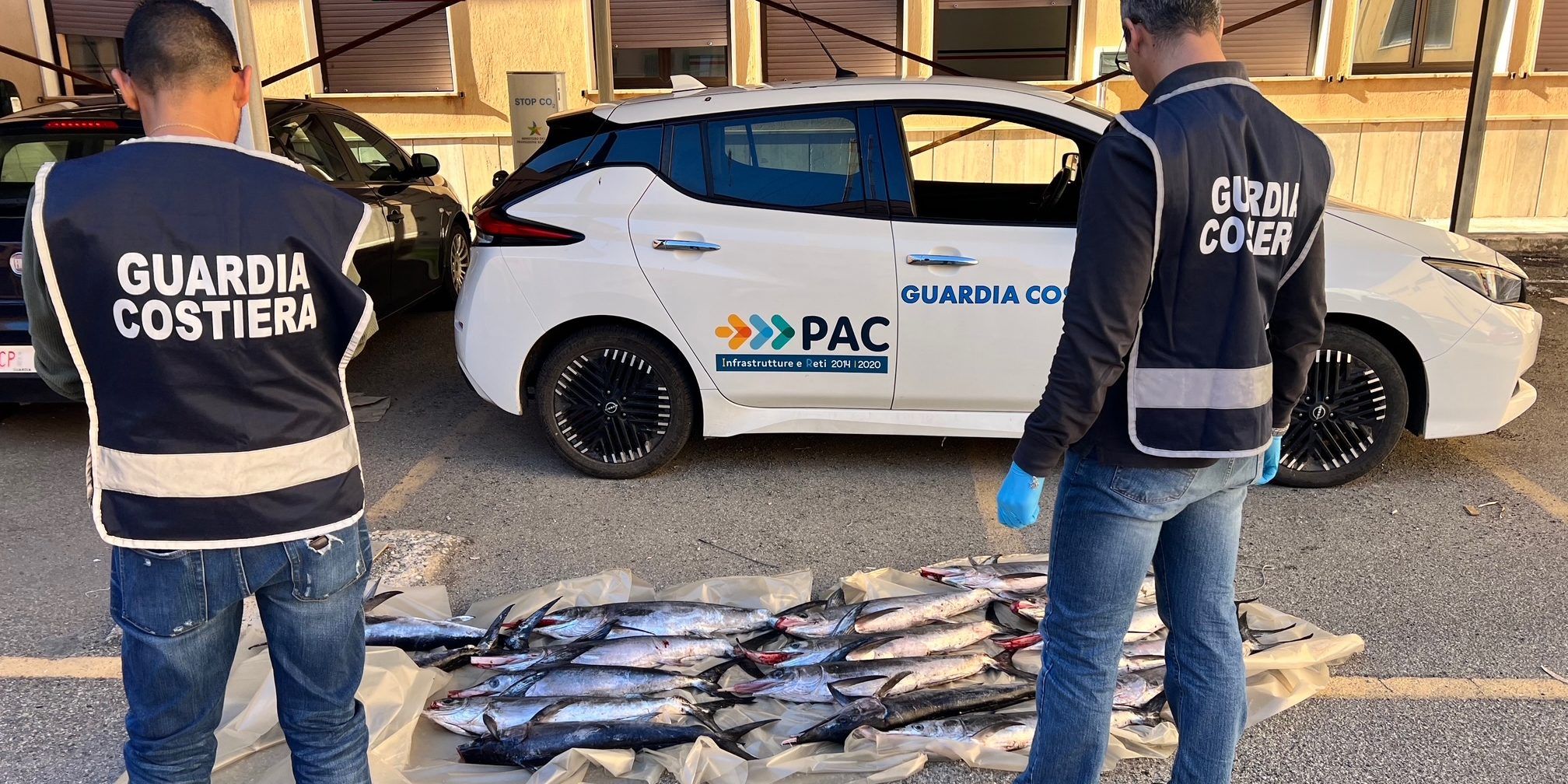Contrasto alla pesca illegale, sequestrati a Vibo esemplari di pesce spada sottomisura