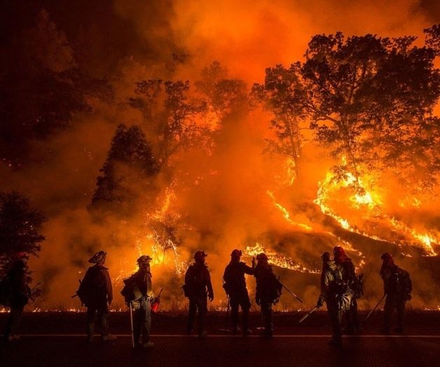 Emergenza incendi, i 5 Stelle: «Oliverio sospenda bandi sul rimboschimento»