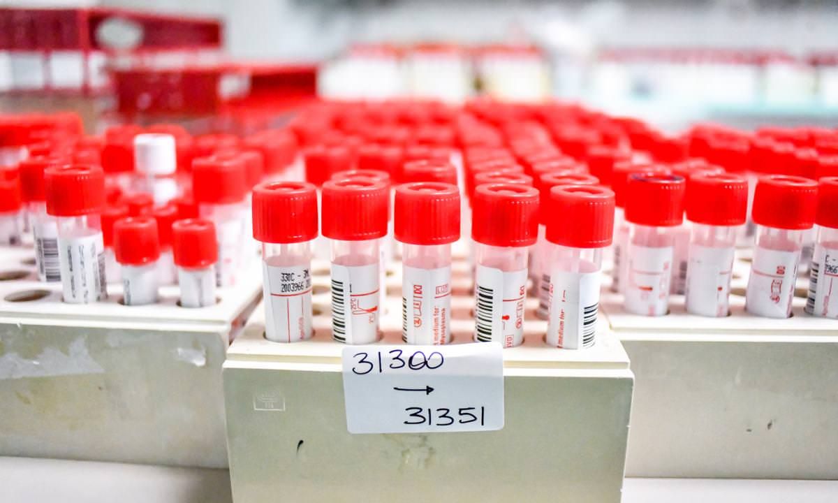 Covid-19, «A Bocchigliero i contagi fermi». Basso l'incremento nel Cosentino – I DATI