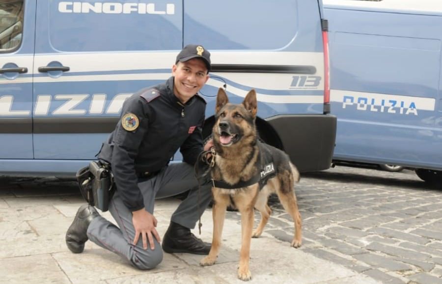 Mezzo chilo di marijuana in casa, arrestato 48enne reggino