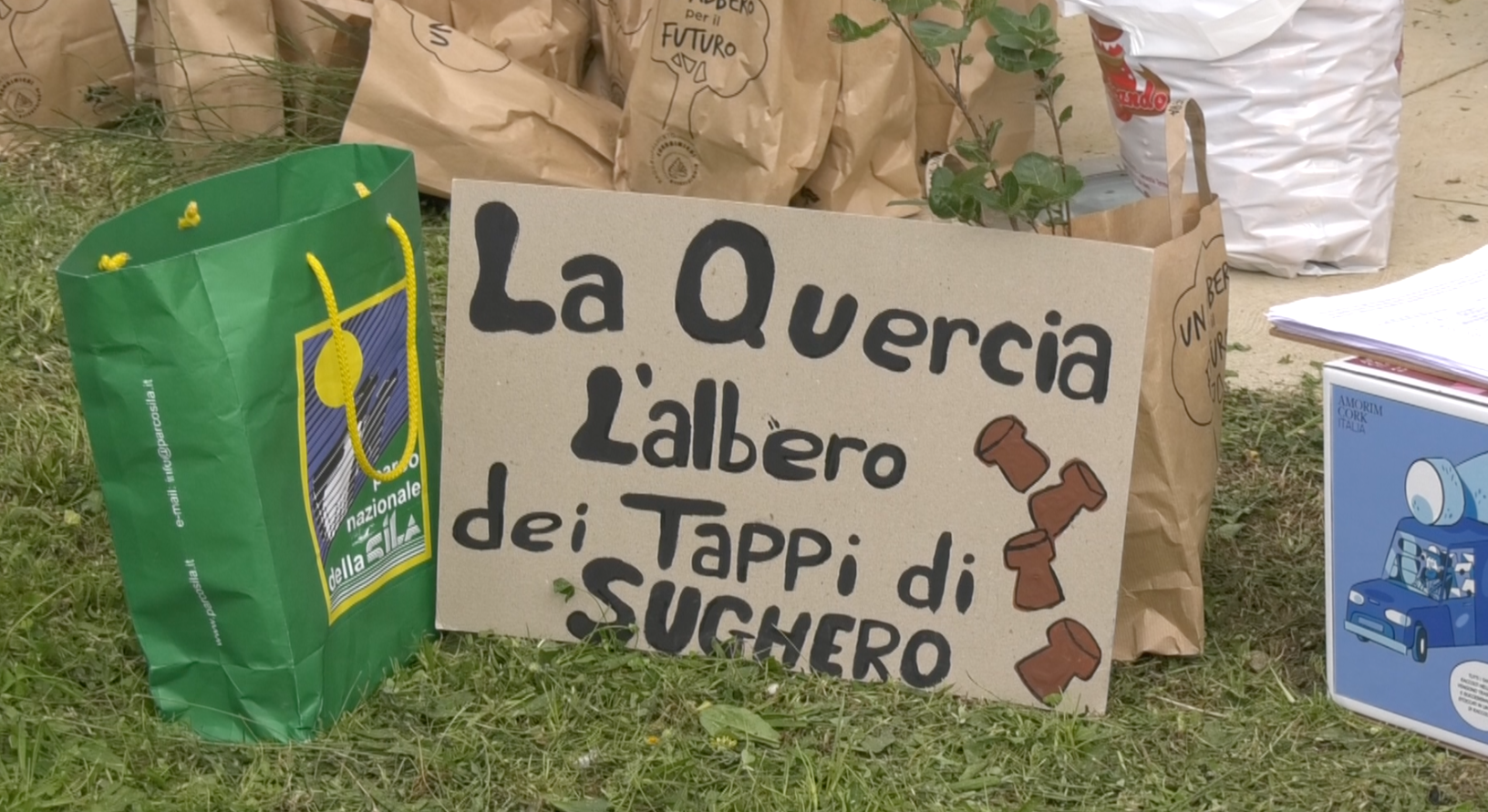 A Lamezia “Un albero per il futuro”: dalla tutela all’educazione ambientale – VIDEO