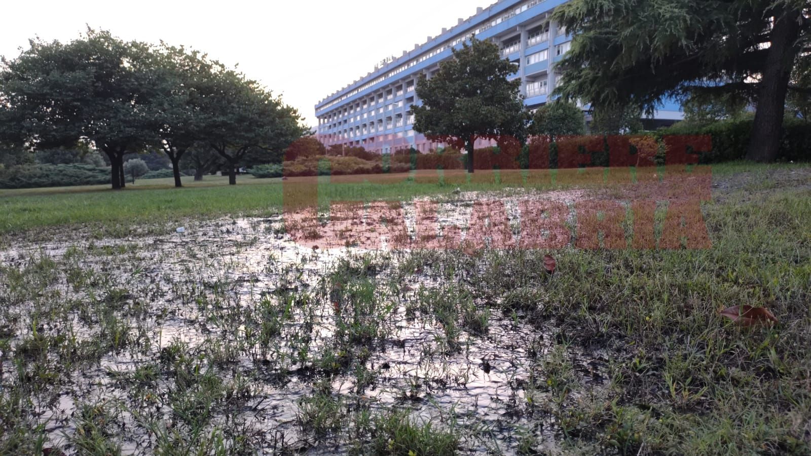 Ospedale di Lamezia, una fogna a cielo aperto ad accogliere i pazienti – FOTO E VIDEO