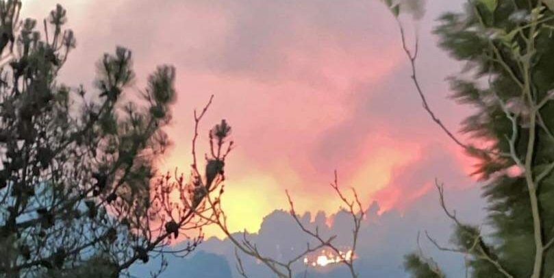 «Le colpe per il disastro degli incendi in Calabria e la Regione commissariata»