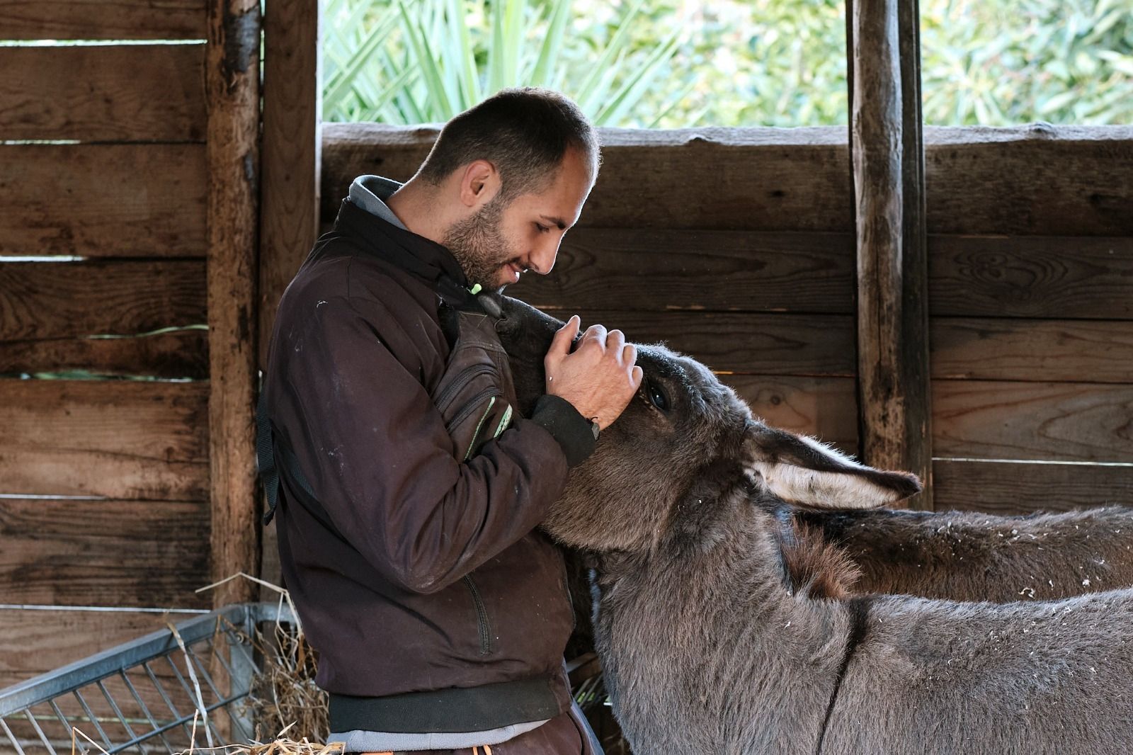 Vibo, inclusione, formazione e benessere animale: al via il corso sugli Interventi Assististi con gli Animali