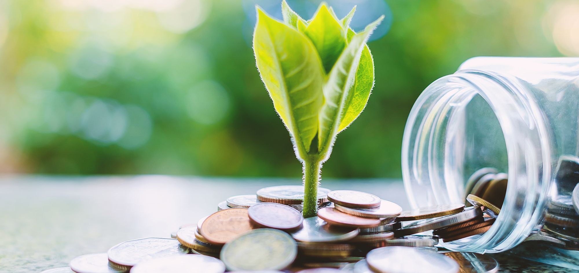 Calabria, 14.320 imprese hanno investito o investiranno in tecnologie green