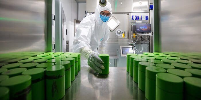 Radioligandi, la nuova frontiera contro il cancro: Italia leader ma accesso ancora disomogeneo