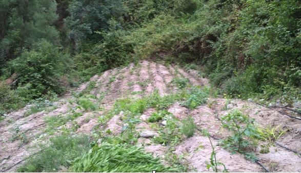 Beccato mentre irrigava 600 piante di canapa, un arresto a Roccella