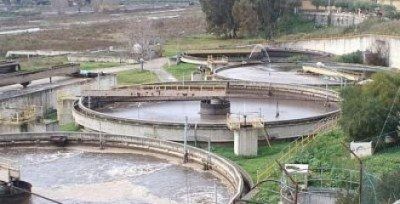 Coda di Volpe, MS5 presenta esposto in Procura