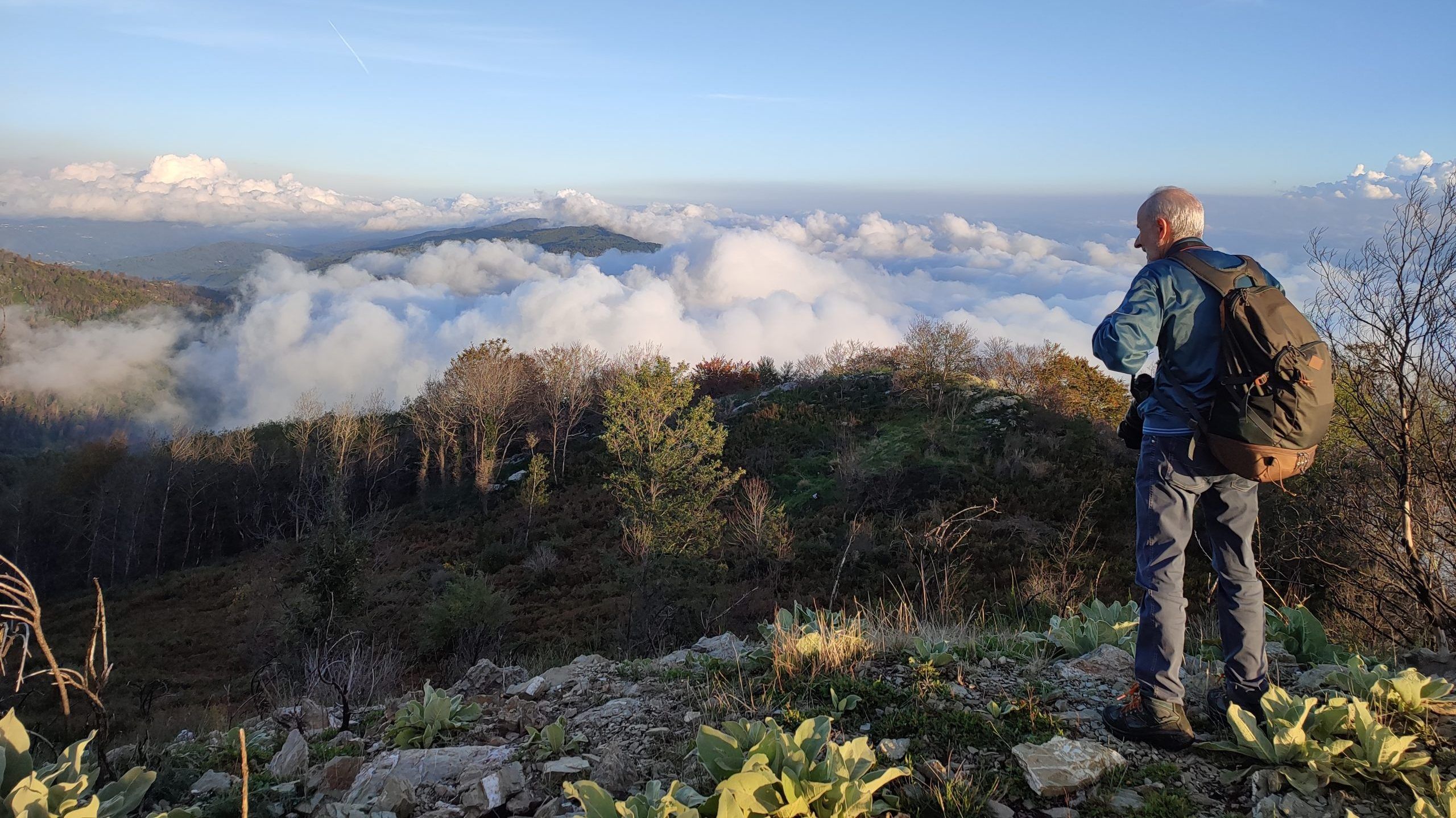 Elezioni in Calabria: per una politica dello sguardo