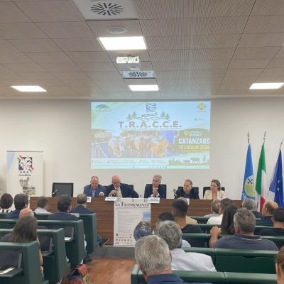 Transumanza fattore di sviluppo. Dalla Regione oltre 45 milioni per gli allevatori
