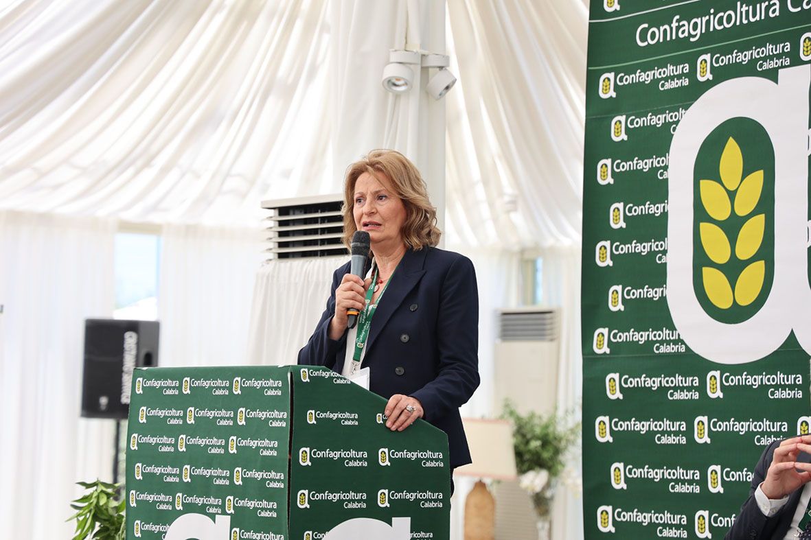 Ancora disagi sulla statale Silana-Crotonese, Confagricoltura al fianco degli imprenditori