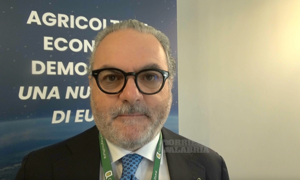 Statti: «Mettendo in campo pratiche virtuose possiamo dare un contributo importante all’economia agricola calabrese»