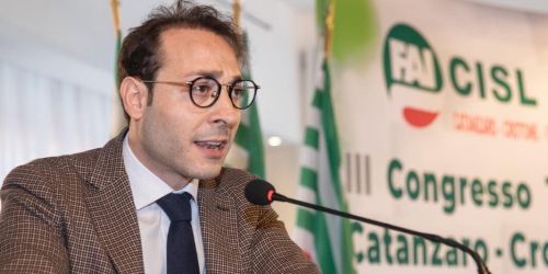 daniele Gualtieri cisl magna graecia