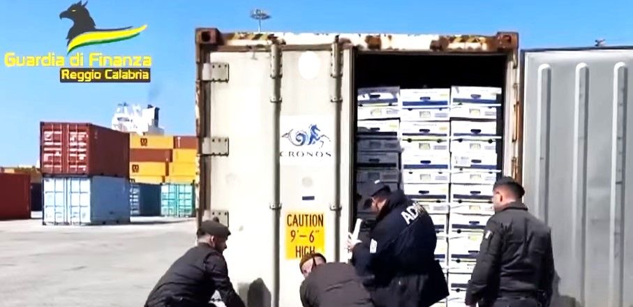 Gioia Tauro, il container pieno di cocaina dal Brasile e il “dottore” «costretto a seguire le regole»