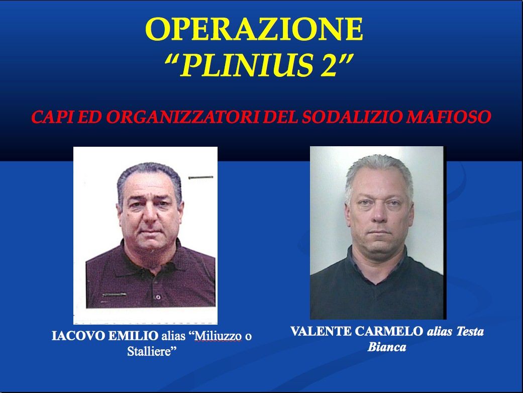 PLINIUS 2 | I nomi degli arrestati