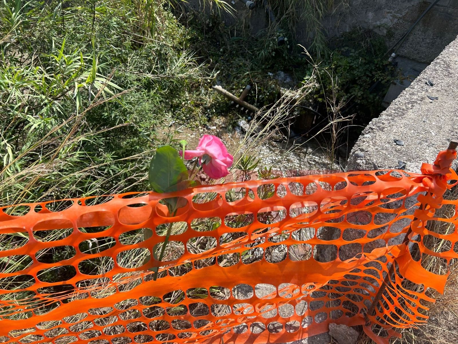 La pioggia, lo schianto e la morte in una «curva maledetta». La tragedia di Caterina, Giusy e Giovanni nella Locride