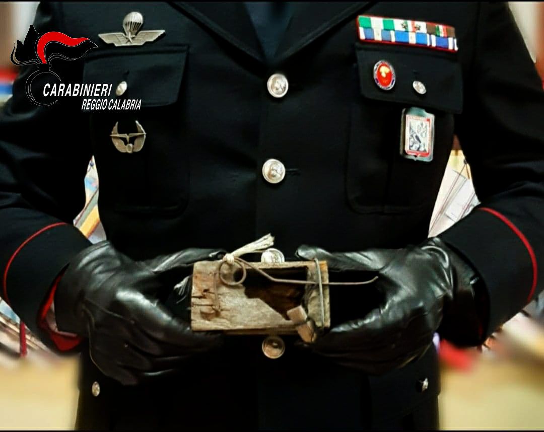 Taurianova, agricoltore nascondeva 72 ghiri in un casolare: denunciato