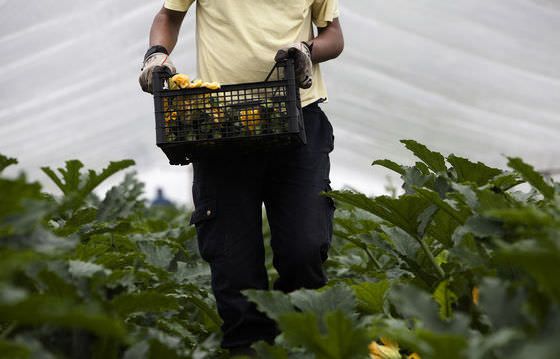 «La Regione continua a cancellare le risorse per l'agricoltura»