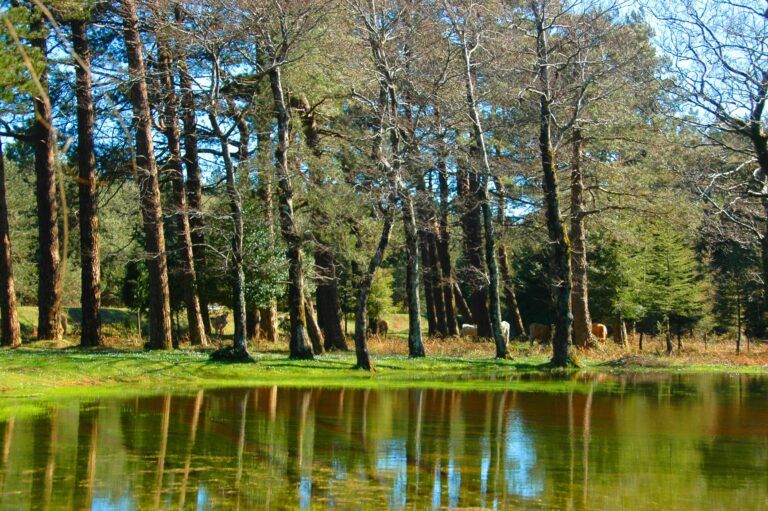 Sentiero del Brigante, via al più vasto provvedimento di tutela paesaggistico in Calabria