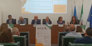 Apicoltura e Mieli di Calabria: la Regione scommette sulla ricchezza della sua biodiversità