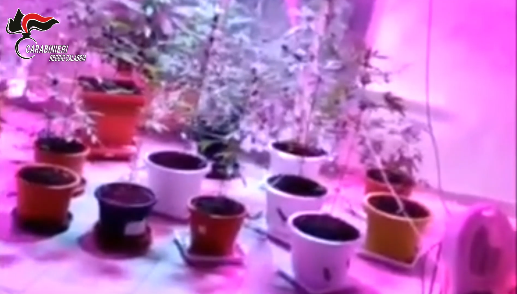 Il capo delle “nuove leve” di Cittanova: «Se trovo una pistola ammazzo i carabinieri» – NOMI