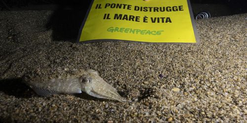 Ponte sullo Stretto, Greenpeace lancia il progetto "Aggiungiamo bellezza al mare"