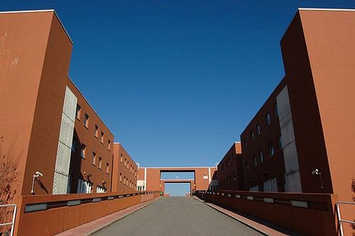 Cisl e Flc-Cgil: «Risposte concrete agli studenti dell'Unical»