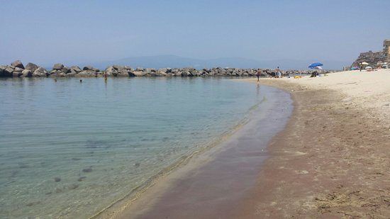 Alghe tossiche nel Tirreno vibonese?