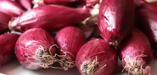 A Tropea accordo Adv Maiora-Nutrizionisti in Cucina per educare le aziende alla sostenibilità