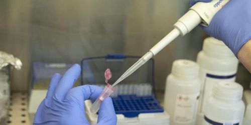 laboratorio_provette_analisi_covid_afp