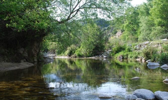 «Curcio ottima scelta per la presidenza del Parco nazionale della Sila»