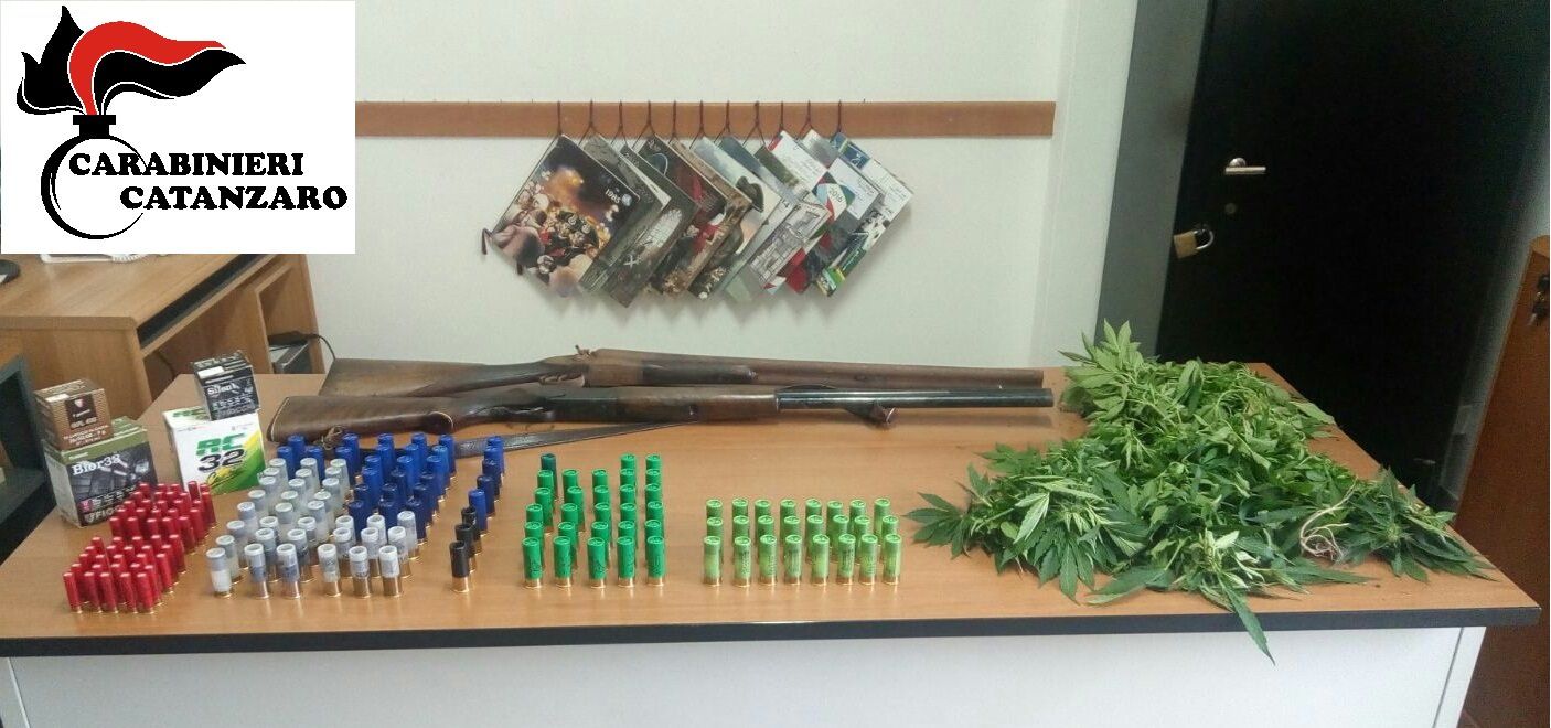 Piantine di marijuana trovate nel giardino di un’anziana nel Catanzarese