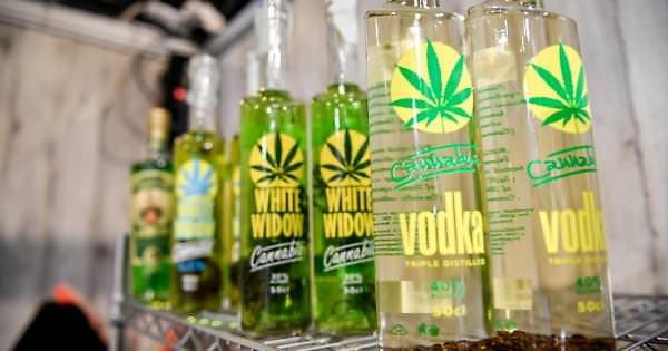 Cannabis light, dopo la Cassazione scattano i controlli nel Reggino