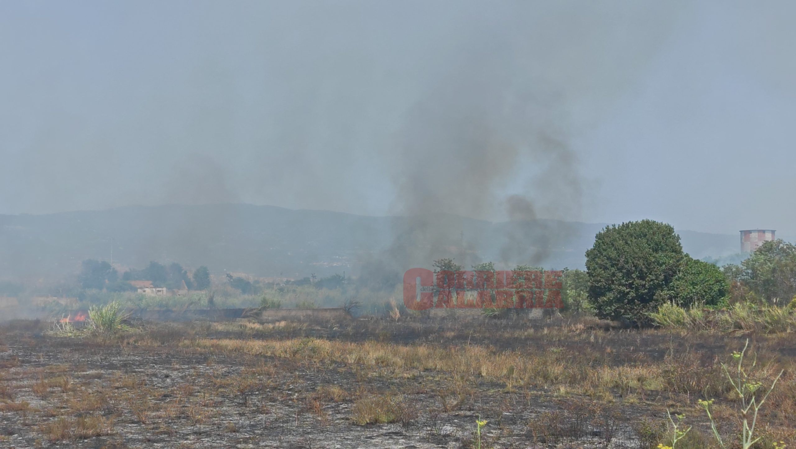 Ancora incendi a Lamezia, vasto fronte di fuoco a Sant’Eufemia – FOTO E VIDEO
