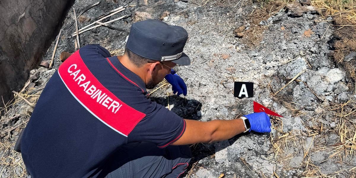 Bonifati, denunciato per incendio boschivo colposo