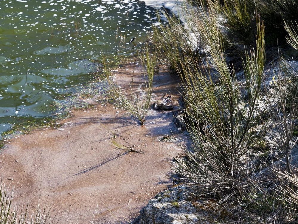 "Acqua sporca", il Comitato pro Serre sarà parte civile