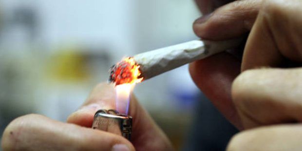 Cannabis in adolescenza, lo studio: «Rischio doppio di psicosi e bipolarismo»