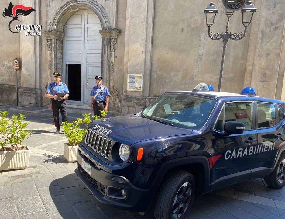 Piante di canapa tra le coltivazioni di pomodoro e mais, arrestato 51enne nel Cosentino