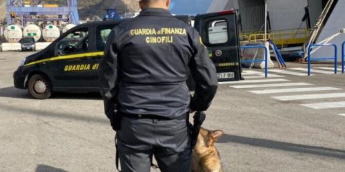 Due "corrieri" beccati con 43 chili di droga a Villa San San Giovanni. Erano diretti in Sicilia - VIDEO