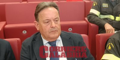Forestazione, la pianificazione di “Calabria Verde”: «Puntiamo a una gestione sostenibile»