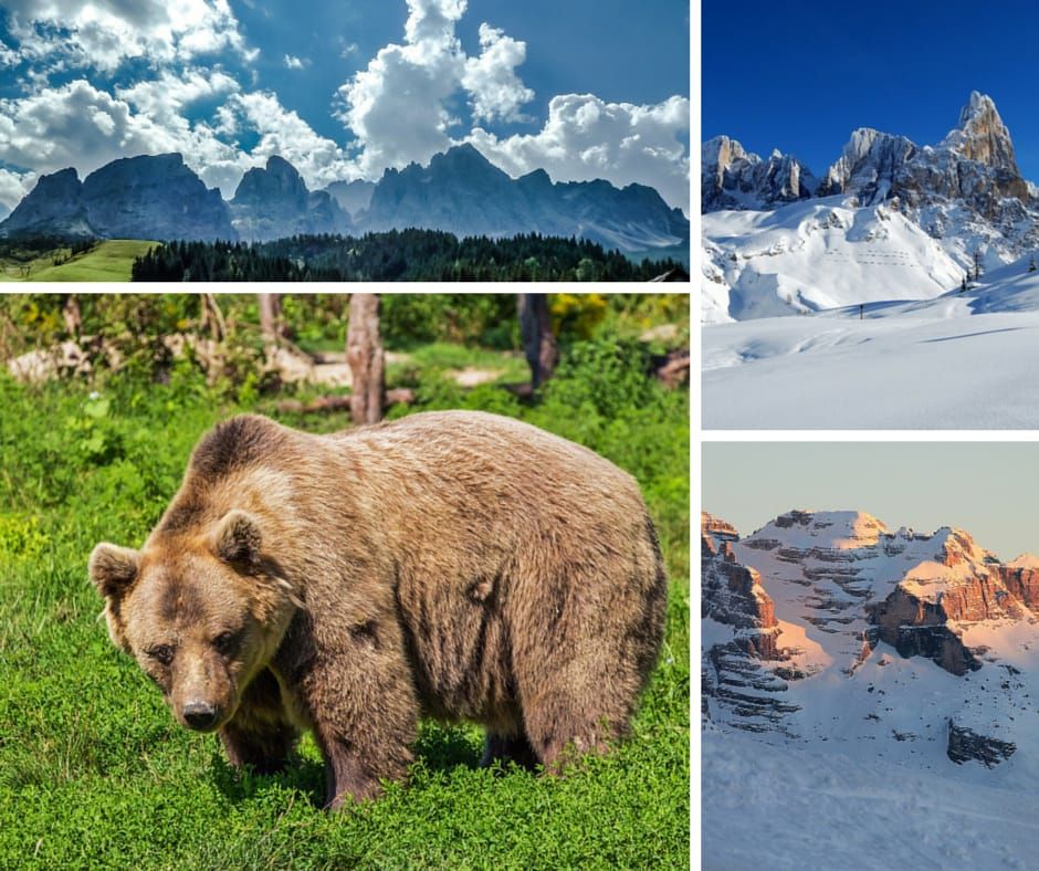 “Assassini innocenti”: lettera aperta agli amministratori del Trentino