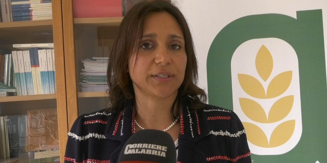 Al via i corsi di formazione per operatori agrituristici, Costantino: «Dobbiamo garantire un’offerta di servizi qualificati»