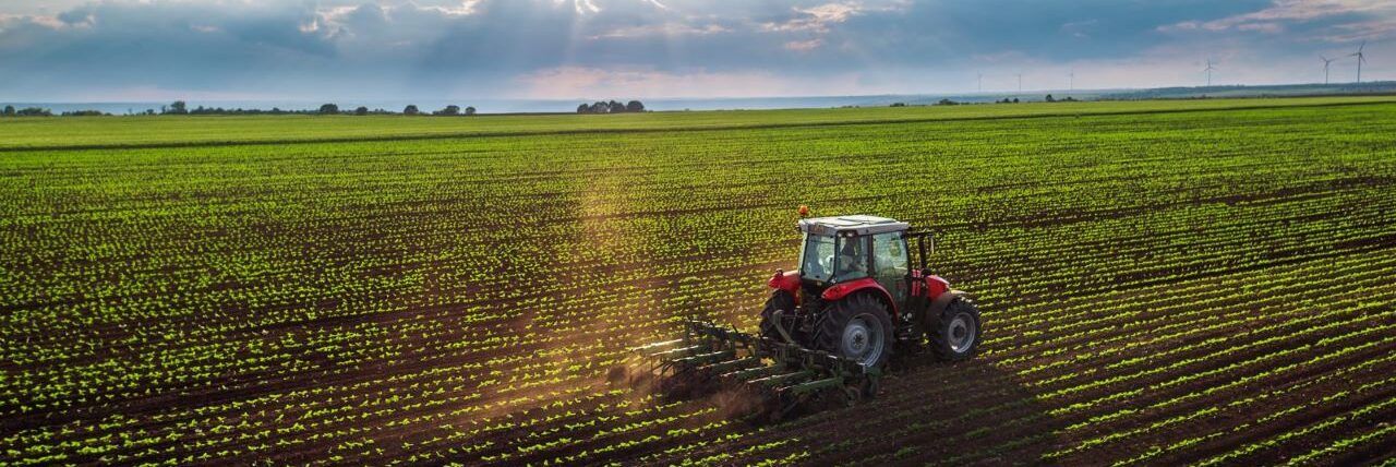 Contratti di filiera, Confagricoltura: «Si faccia scorrere la graduatoria»