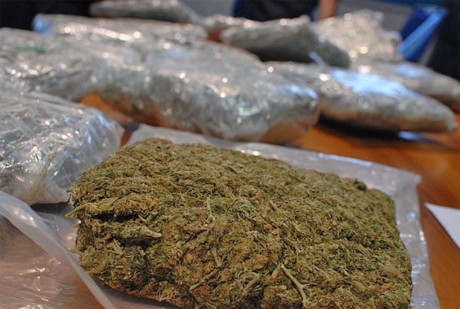 Droga per 200mila euro in un casolare abbandonato