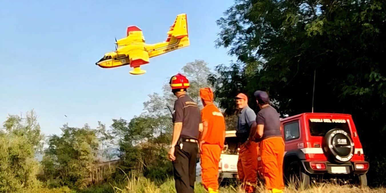 Vasto incendio colpisce il bosco nel comune di Mileto
