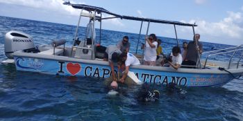 Nel Vibonese recuperati circa 250 pneumatici esausti: alcuni minacciavano la posidonia oceanica in mare